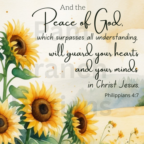 Decoupage Rice Paper – Peace of God with Sunflowers - Alternative to Napkins - Bible Craft D210