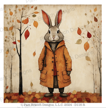 Rice Paper Variety Pack, Hedgehog, Rabbit, Chipmunk, and a Raccoon and fall leaves D116