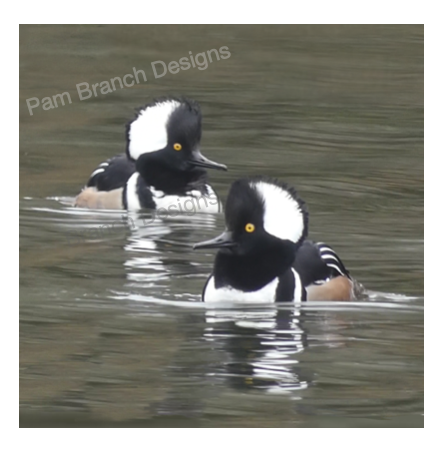 Hooded Merganser, Birds on the Lake, Decoupage Sheet, Rice Paper D8