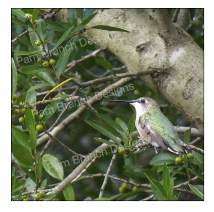Hummingbird in a Tree, Decoupage Sheet, Rice Paper, Nature Craft Paper D10