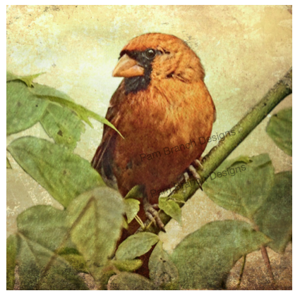 Cardinal in the Leaves, Decoupage Sheet, Rice Paper for Crafts, Home Decor D18