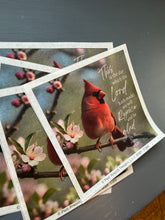 Rice Paper for Decoupage, Red Cardinal on a Branch, Crabapple Flowers with Bible Verse,  "This is the day which the Lord...." D164