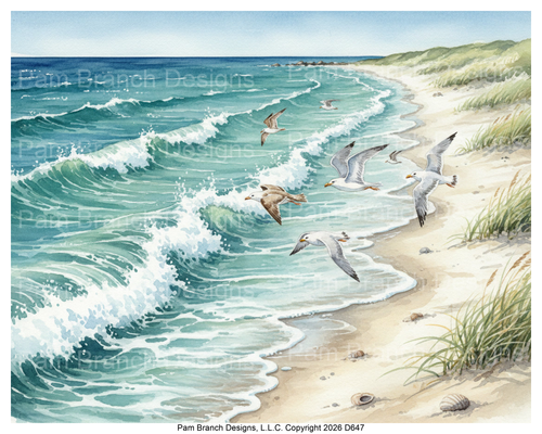 D647 — seagulls over ocean shoreline, coastal craft supply