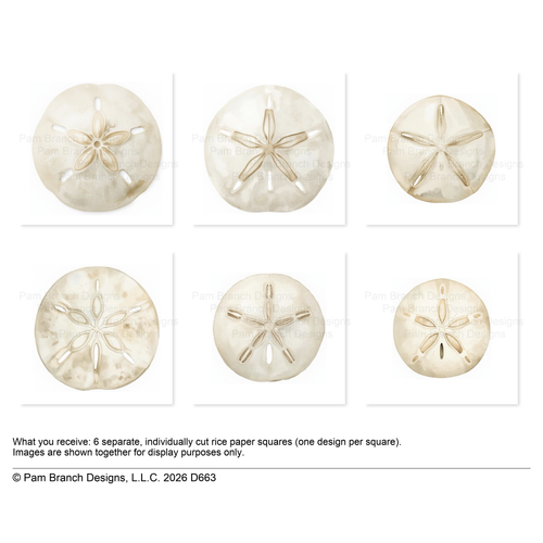 Sand Dollar Rice Paper for Decoupage Bundle, Coastal Craft Supply D663