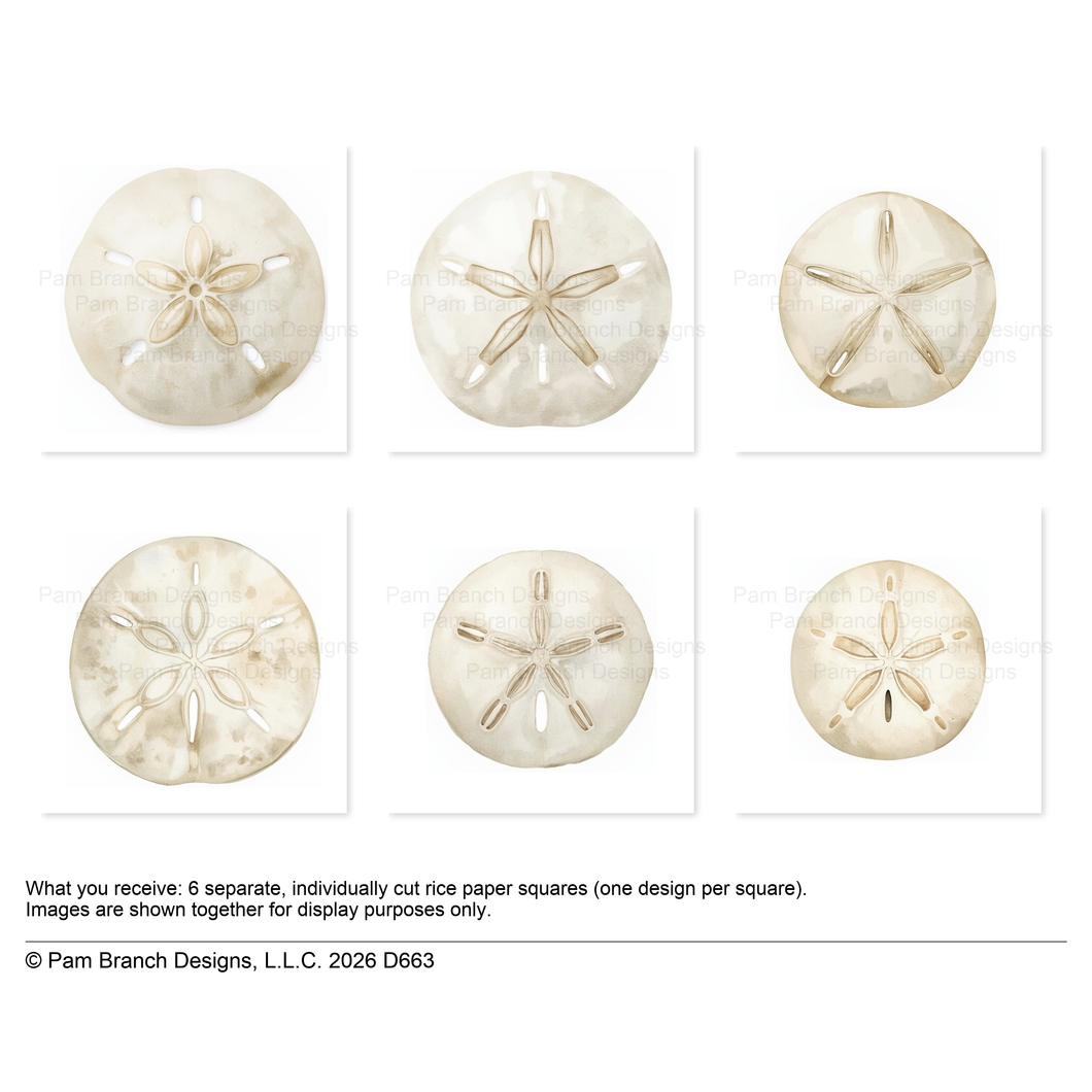 Sand Dollar Rice Paper for Decoupage Bundle, Coastal Craft Supply D663