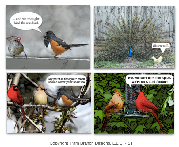 Funny Stickers! Pack of Four Bird Sticker ST1