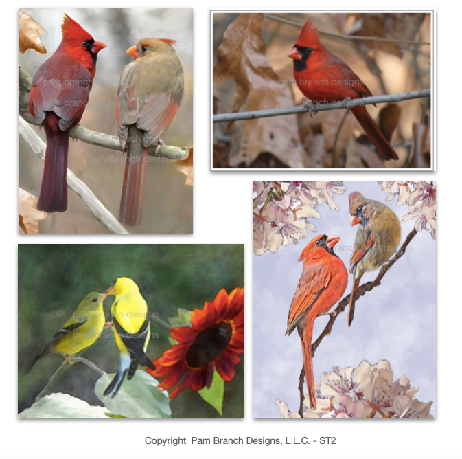 Bird Stickers! Pack of Four Bird Stickers ST2
