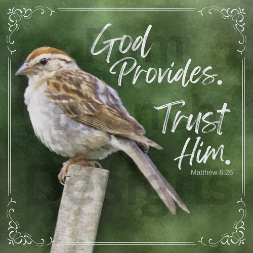 Decoupage Paper, Chipping Sparrow,