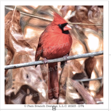 Decoupage paper with a vibrant, male cardinal perched on a pine branch, fall background. The image was created with photos taken by Pam Branch Sherman.