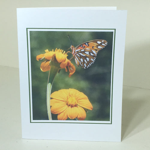 Butterfly Card, Flower Card, Note Card #C40