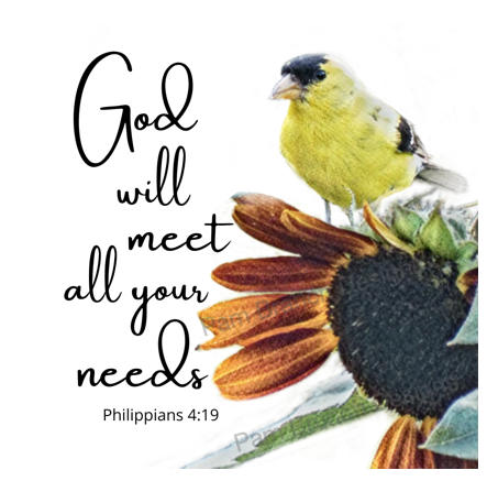 Goldfinch on a Sunflower, Bible Verse, 
