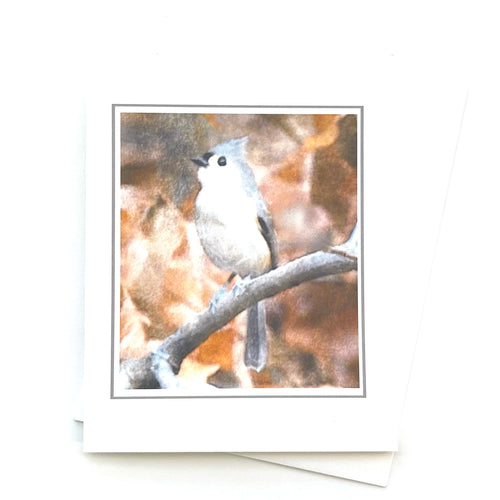Tufted Titmouse Greeting Card C49
