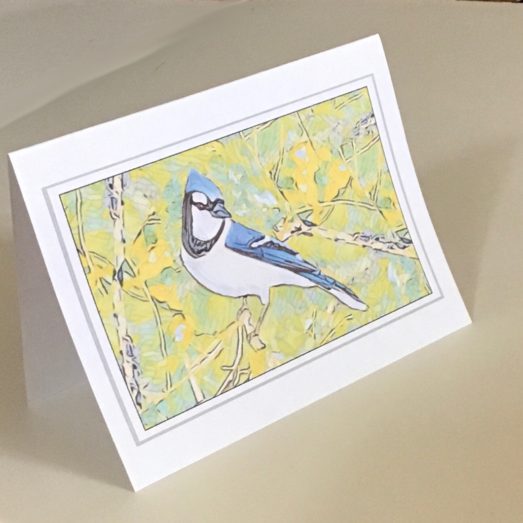 Blue Jay Greeting Cards, 4 Pack, Blue Jay Gift, Birdwatcher Gift, Thinking of You, Miss You, Note Card, Card for Friend #C3