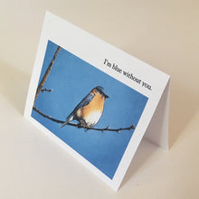 Bluebird Greeting Cards, 4 Pack, Blank Card, Gift, Birdwatcher Gift, Thinking of You, Miss You, Nature Gift, Blue Bird Card #C8