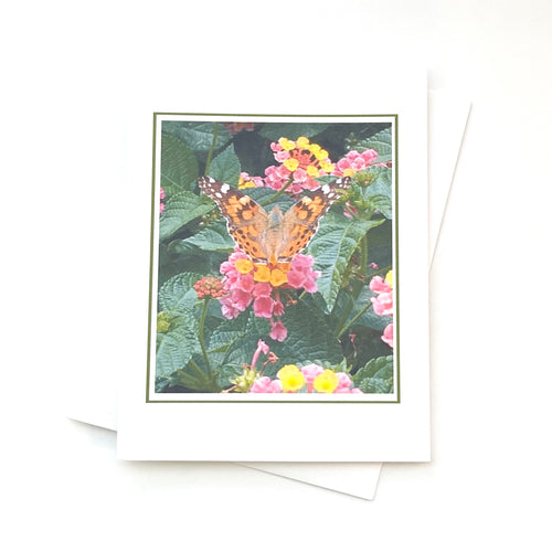 Butterfly Greeting Card C50