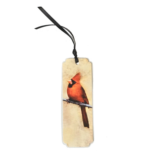 Cardinal Portrait - Bird on a Branch - Bookmark - M3