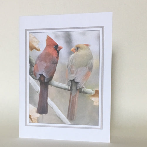 Two Cardinals in Love - Greeting Cards, 4 Pack, Cardinal Gift, Birdwatcher Gift, Thinking of You, Miss You, Bereavement Gift, Sympathy Card #C20