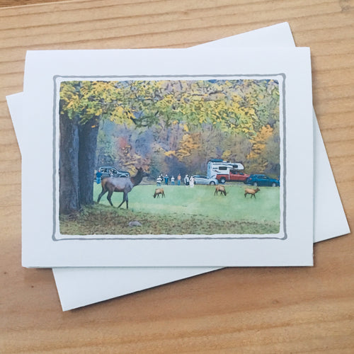 Elk in Meadow Greeting Card, 4 Pack, Cherokee Souvenir,  Card for Friend #C41