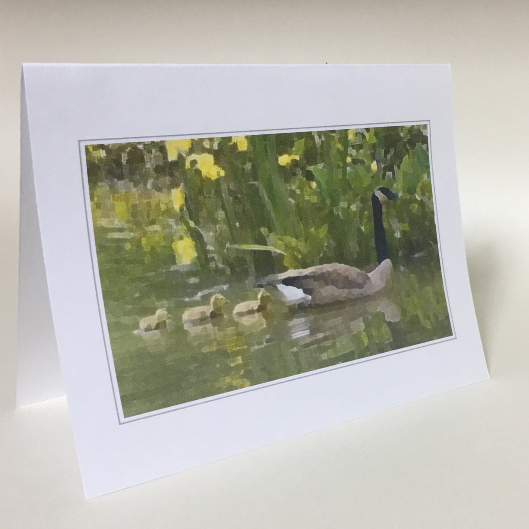 Canada Goose and Babies, Geese Greeting Cards, 4 Pack, Gift, Birdwatcher Gift, Thinking of You, Miss You,  Bird Card #C12