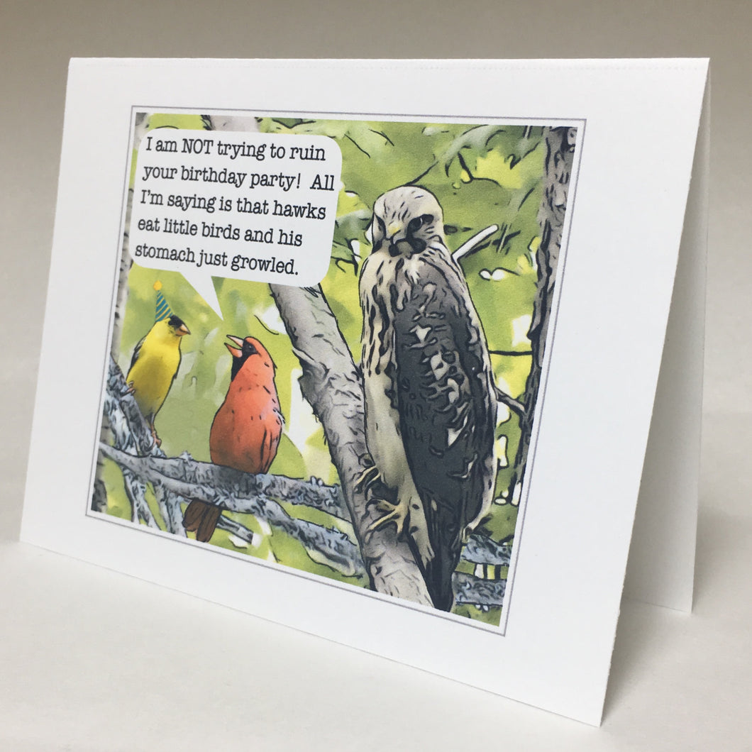 Goldfinch, Northern Cardinal, and Hawk Birthday Card, 4 Pack, Funny Gift, Funny Bird Card #C31