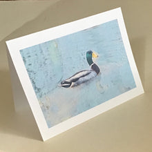 Mallard Duck Card, Greeting Cards, 4 Pack, Wildlife Card, Birdwatcher Gift, Thinking of You, Miss You, Gift, Blank Card #C4