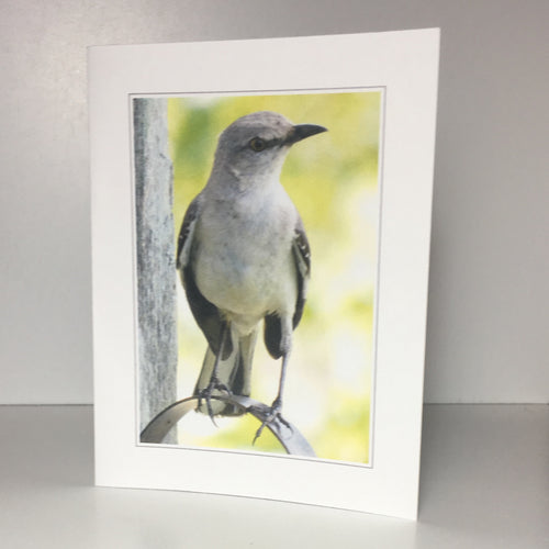 Mockingbird Card, Greeting Cards, Farmhouse Card, 4 Pack, Stationery, Note Card, Card for Friend #C27