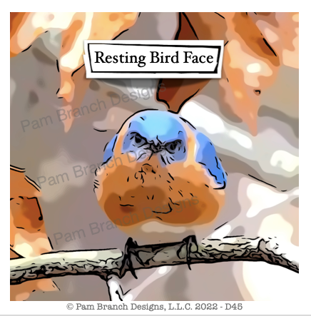 Decoupage paper with an image of a ￼bluebird on a branch among the fall leaves with a scowl on its face. The words “resting bird face“ are on the image.