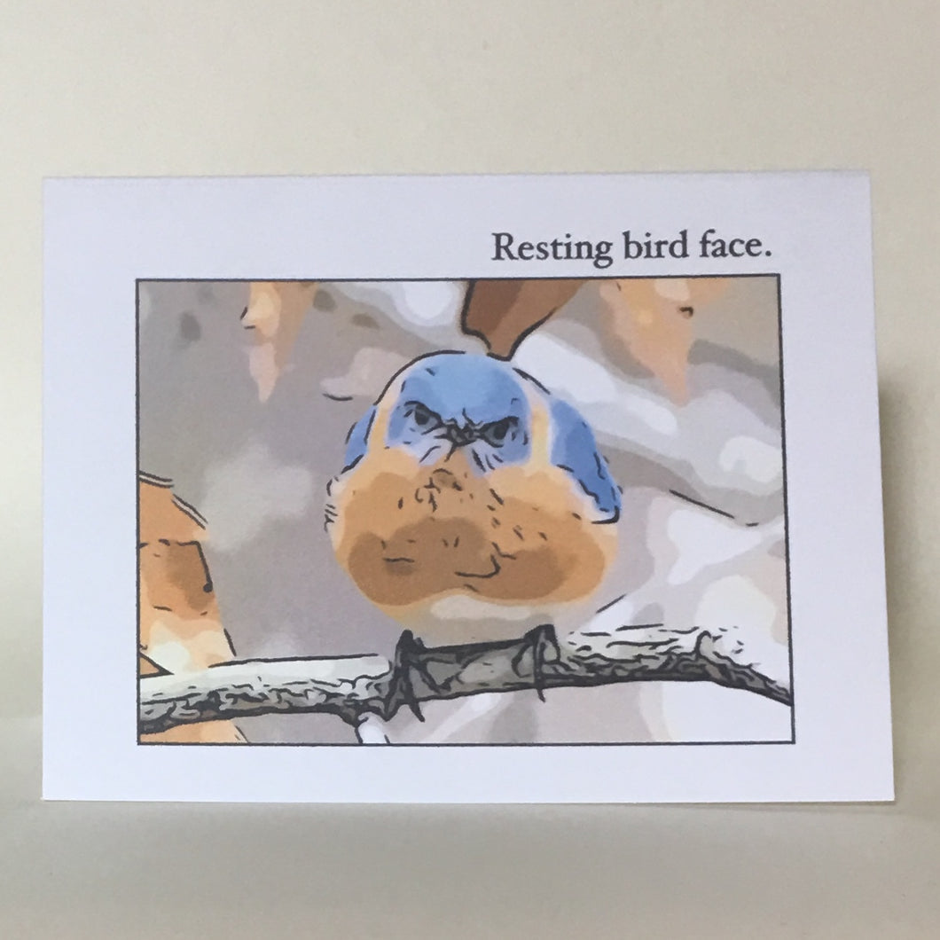 Bluebird Greeting Cards, 4 Pack, Birdwatcher Gift, Thinking of You, Blank Card #C18