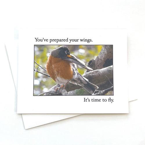 Robin Greeting Card C46