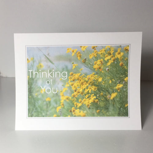 Yellow Flowers, 