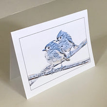 Tufted Titmouse Card, Titmice Card, Greeting Cards, 4 Pack, Gift, Birdwatcher Gift, Thinking of You, Miss You, Blank Card #C5