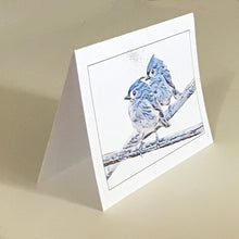 Tufted Titmouse Card, Titmice Card, Greeting Cards, 4 Pack, Gift, Birdwatcher Gift, Thinking of You, Miss You, Blank Card #C5