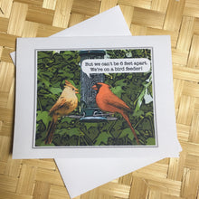 Male and Female Cardinal Greeting Cards, 4 Pack, Cardinal Gift, Birdwatcher Gift, Thinking of You, Bird Feeder Card #C16
