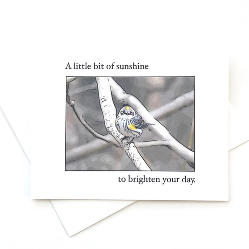 Yellow Rumped Warbler Greeting Card C48