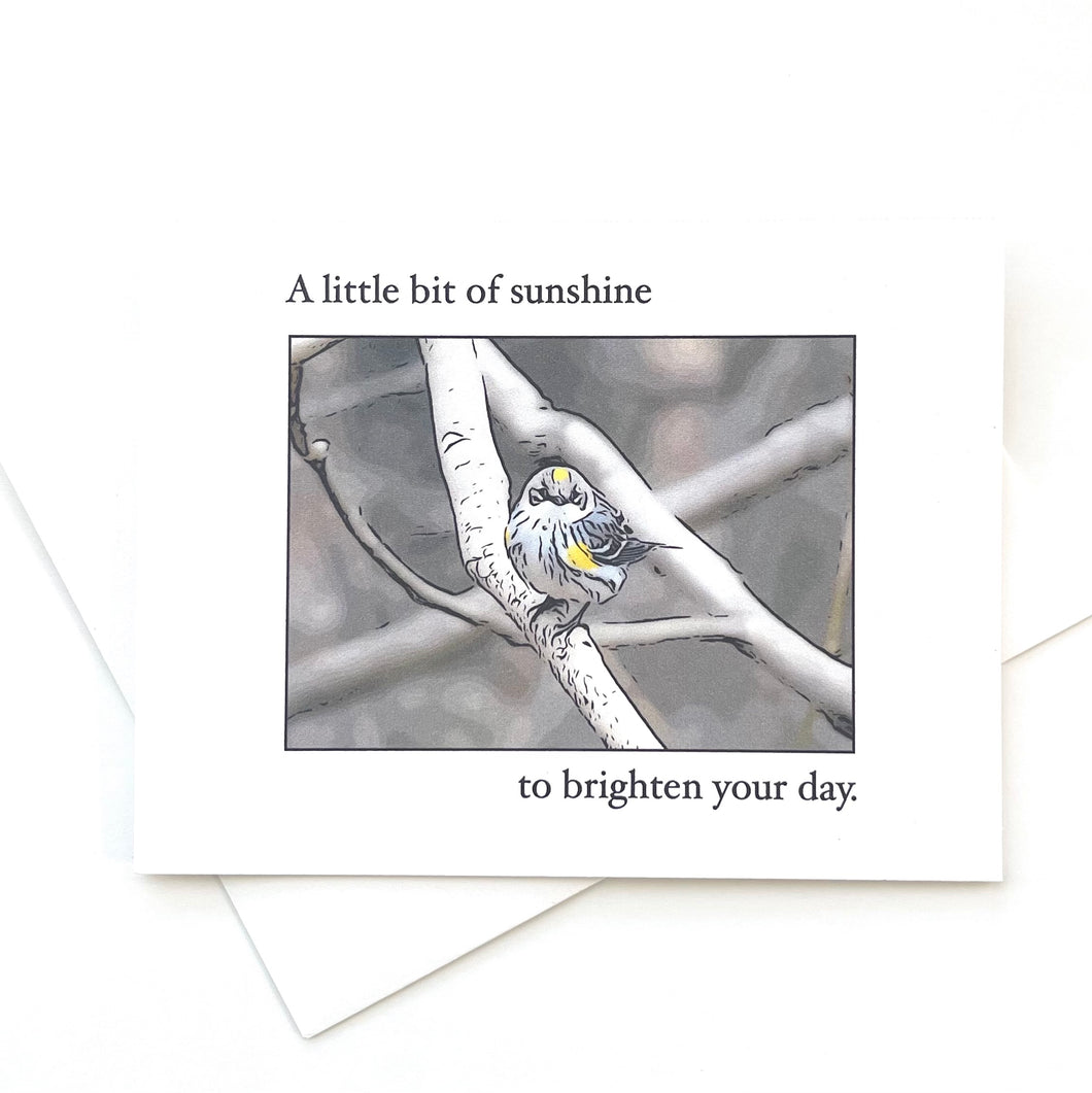 Yellow Rumped Warbler Greeting Card C48