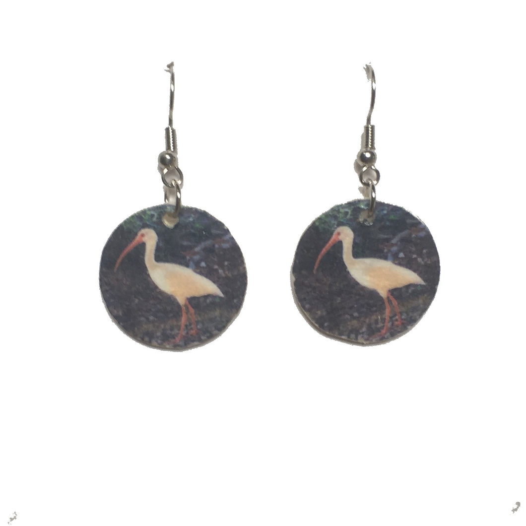 White Ibis, Florida Bird Image on Wood, Earrings, Earth Jewelry #E724